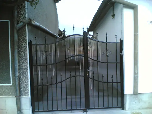 Wrought iron metal gate made by FEROX, project 11